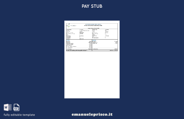 modello di busta paga Intouch India in stile verificato